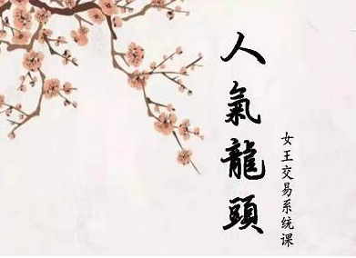 短线女王人气女王人气龙头基础视频课程