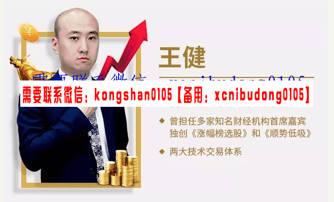 易投经 王健短线逻辑突破时空共振主力底牌短线波段实战 股票全系列内部培训视频课程【初级班+高级班+进阶班】